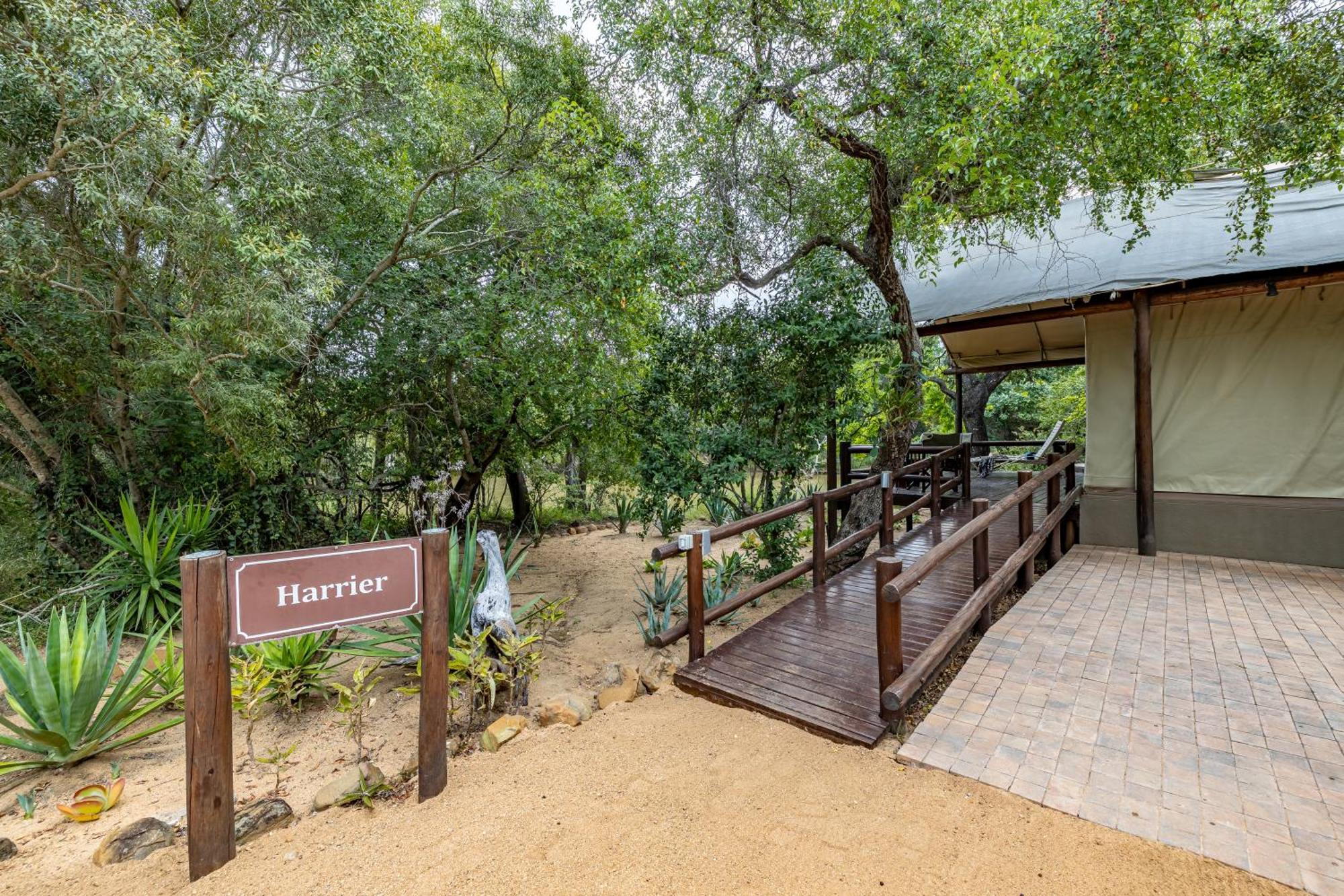 Phelwana Game Lodge Hoedspruit Exterior foto